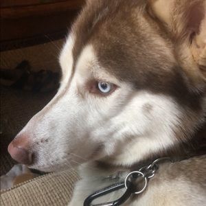 Meet your Posher, Kari